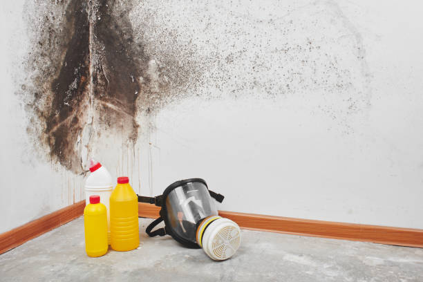 Best Crawl Space Mold Remediation in Bartonville, TX