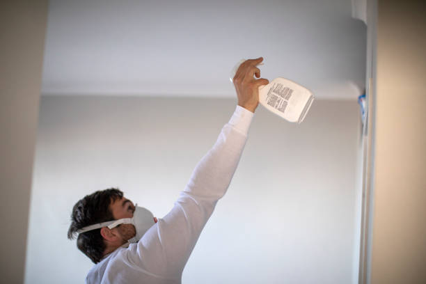 Best Residential Mold Remediation in Bartonville, TX