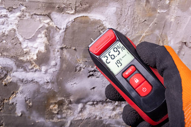 Best Preventive Mold Services in Bartonville, TX